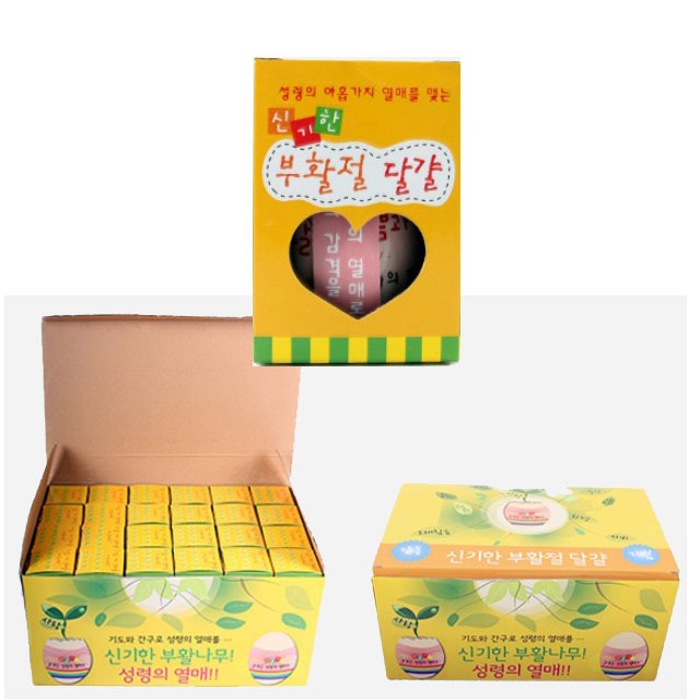 신기한 부활절 달걀 화분 키우기 1 BOX (48개) 작두콩 기르기
