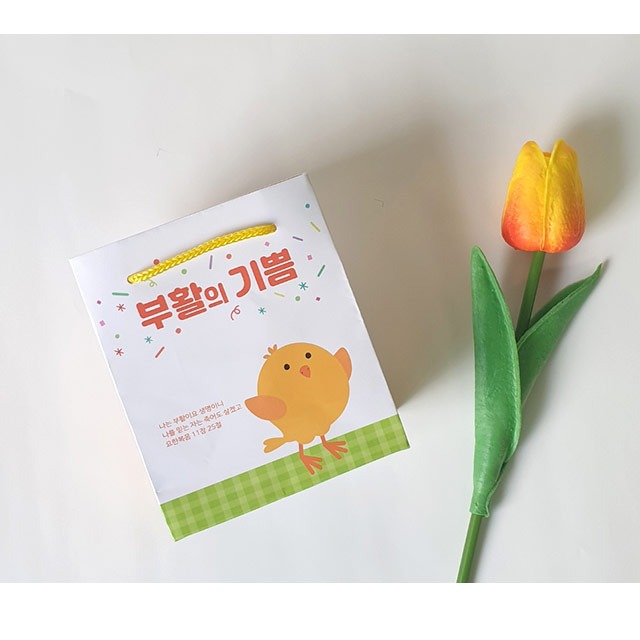 경지사 부활절 계란 쇼핑백 KJ-24-3 병아리 (10매)